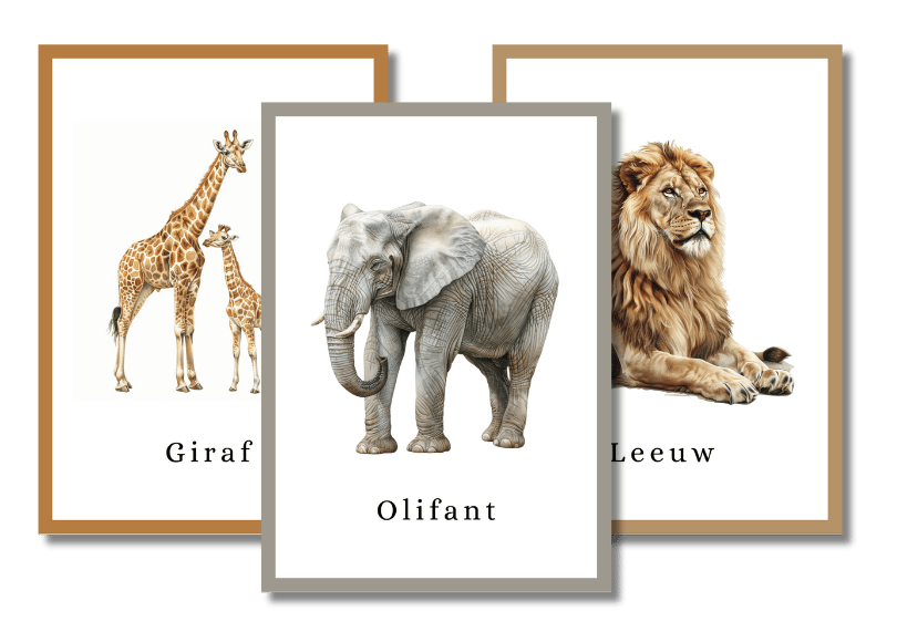 Dierentuin dieren Flashcards, peuter, kleuter,