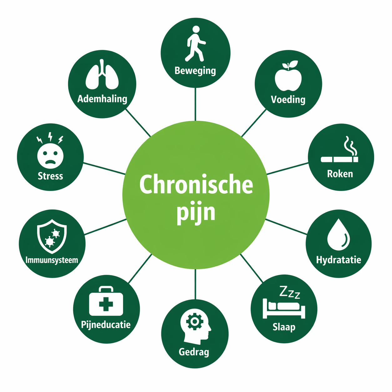 Integrale aanpak: beweging, voeding, slaap, oefeningen, gedrag.