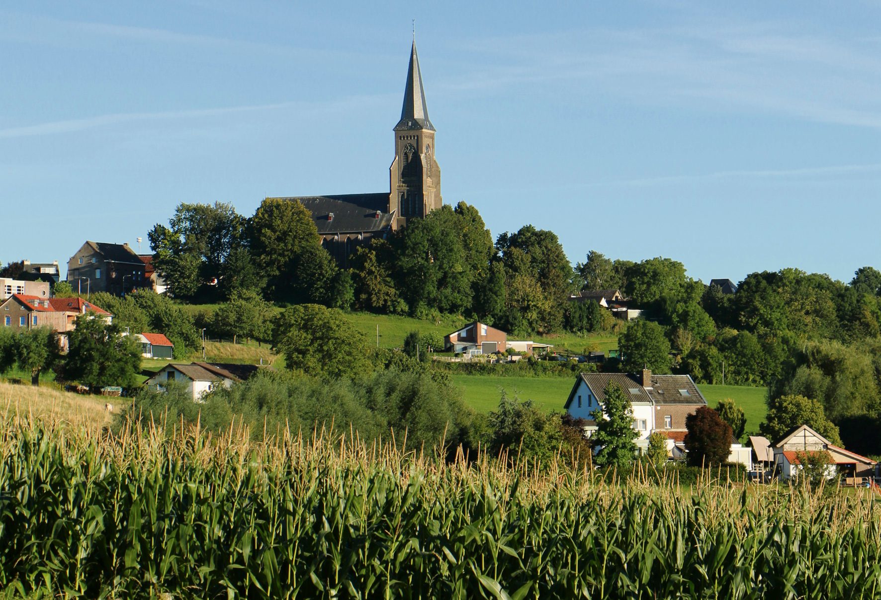Example image