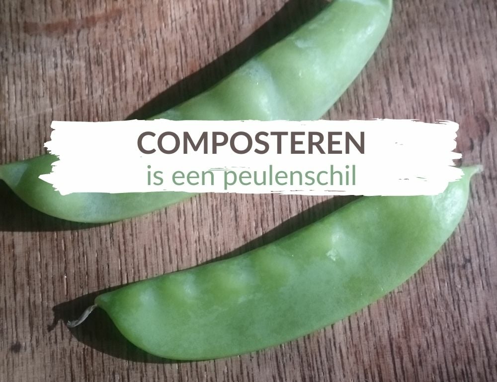 composteren-is-een-peulenschil-visual