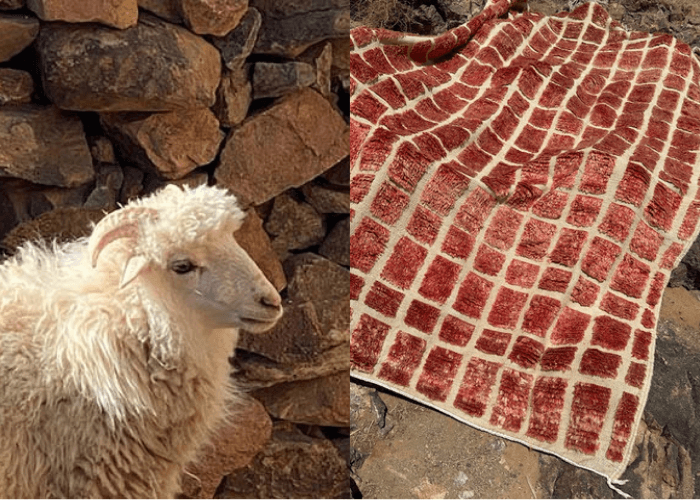 De reis naar het Berberdorp is magisch