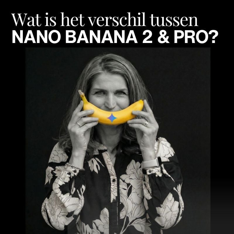 Wat is het verschil Nano Banana 2 en Pro