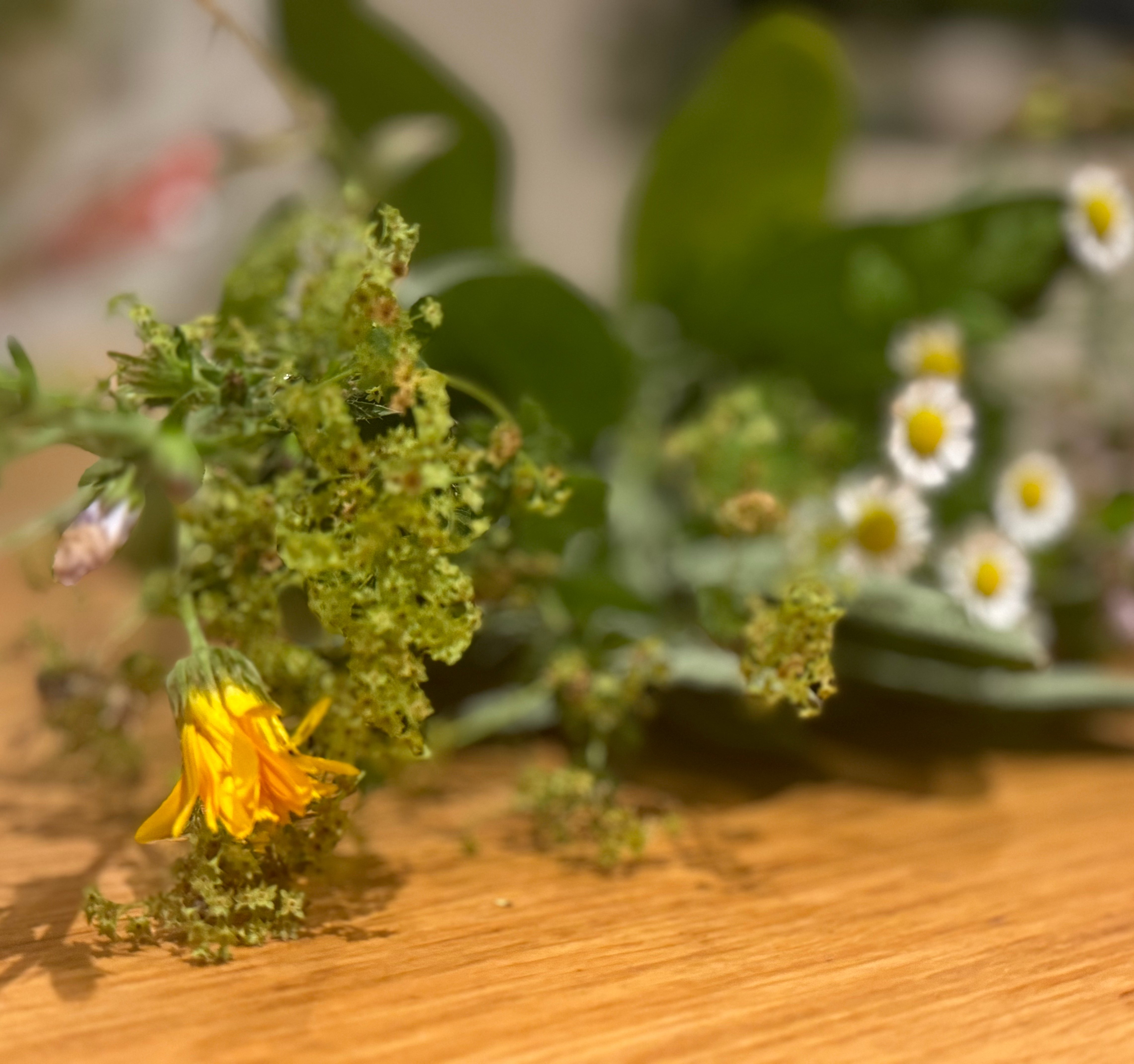verschillende bloemen op houten tafel
