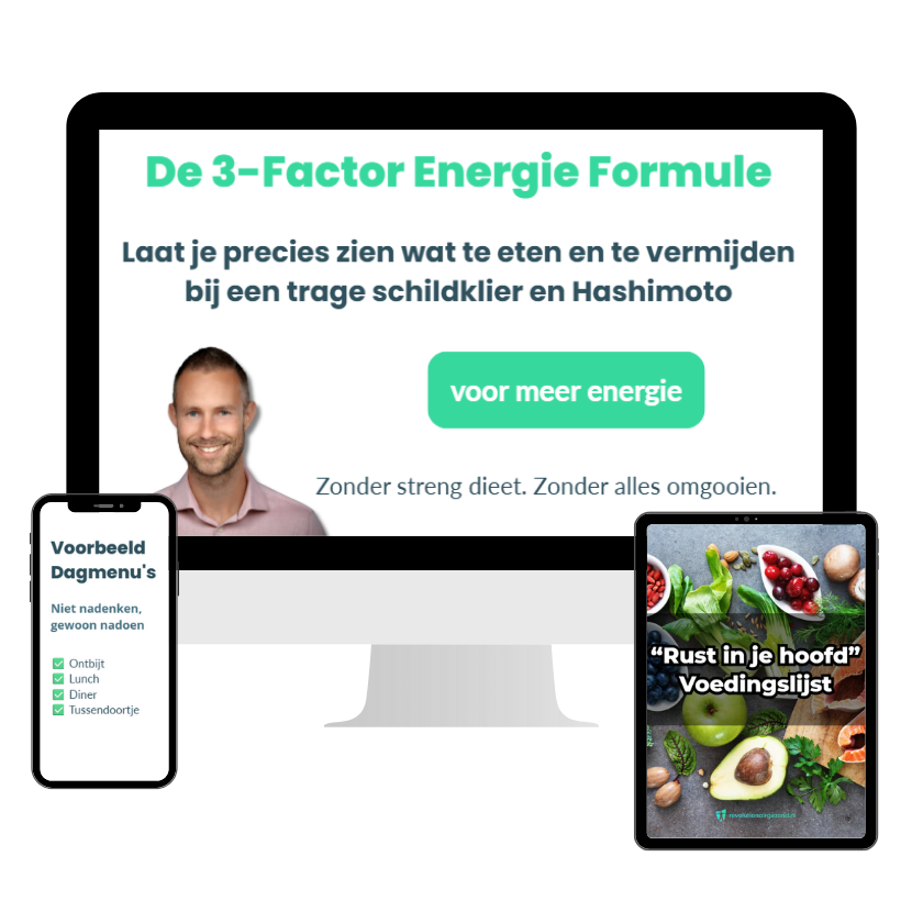 3-Factor Energie Formule voeding trage schildklier cursus programma Ruud Rotteveel
