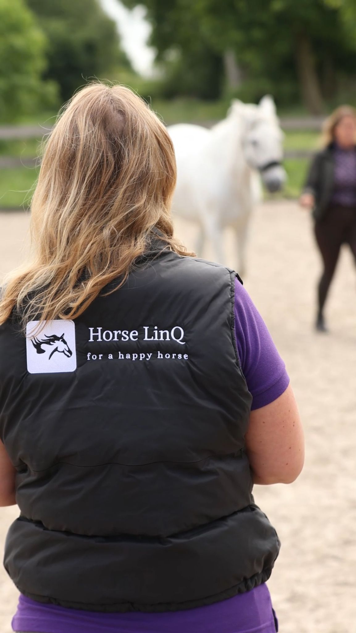 afbeelding van observeren van een paard door Linda van Horse LinQ
