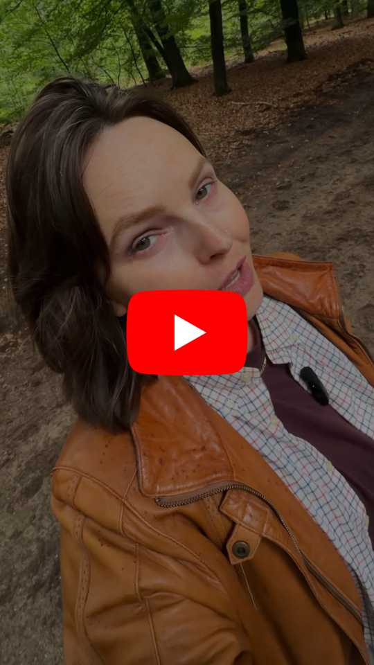 Youtube Video Preview