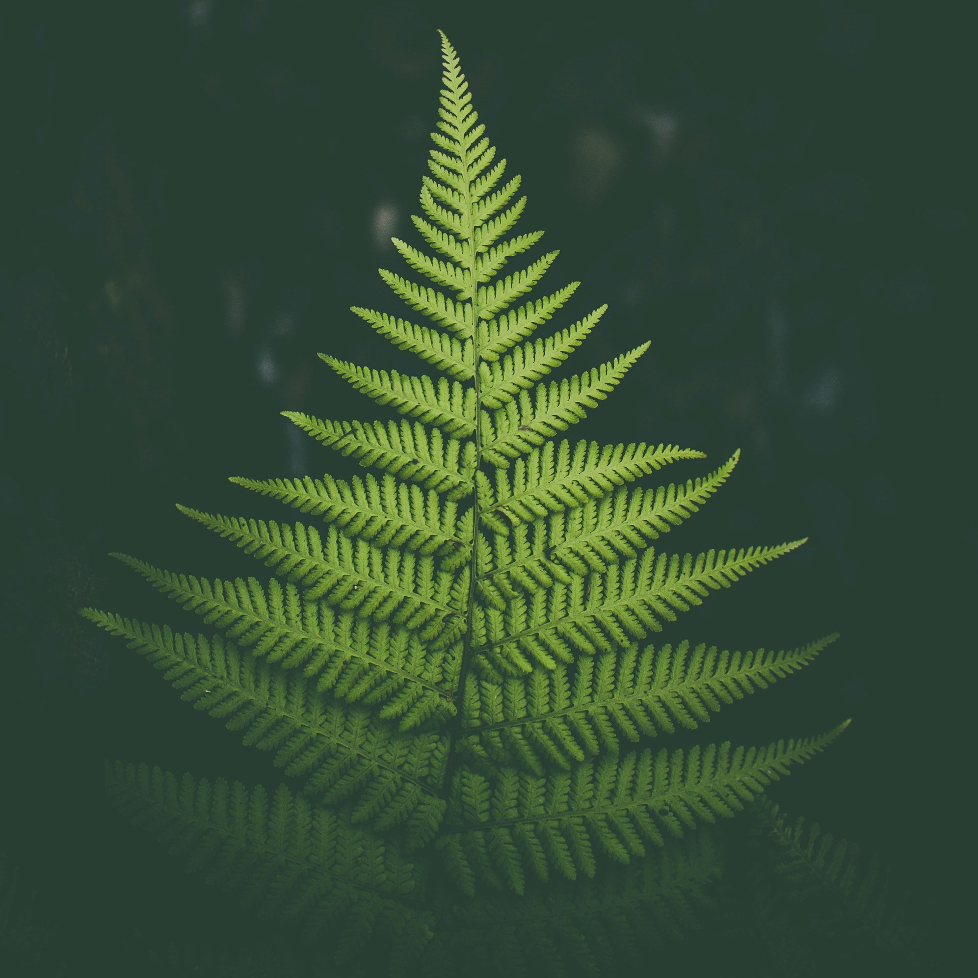 Summer on June, brings a lot of journey. Taking me to anywhere unspoiled nature and spots with so much pretty objects. This photo is one of my journey. Its look so simply and relaxed many of them  just don’t realise