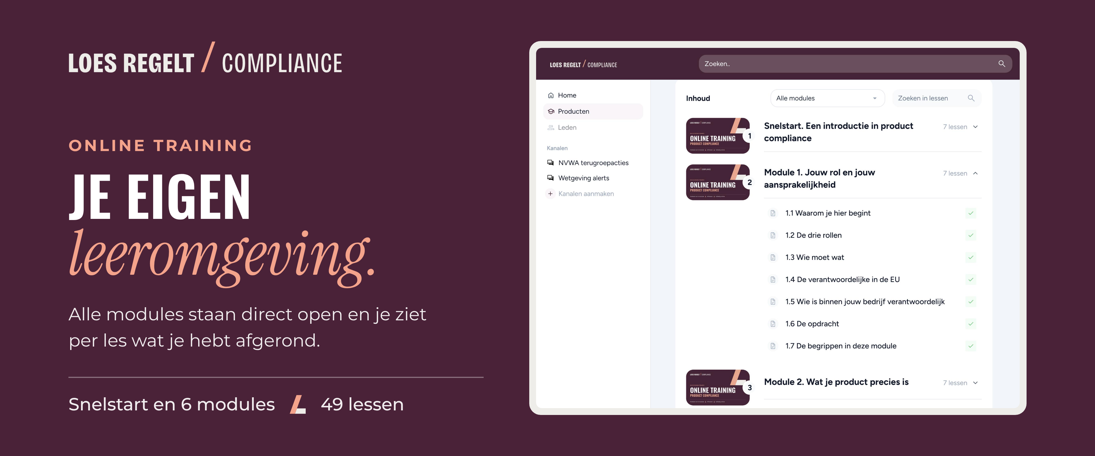 Online training overzicht Loes Regelt