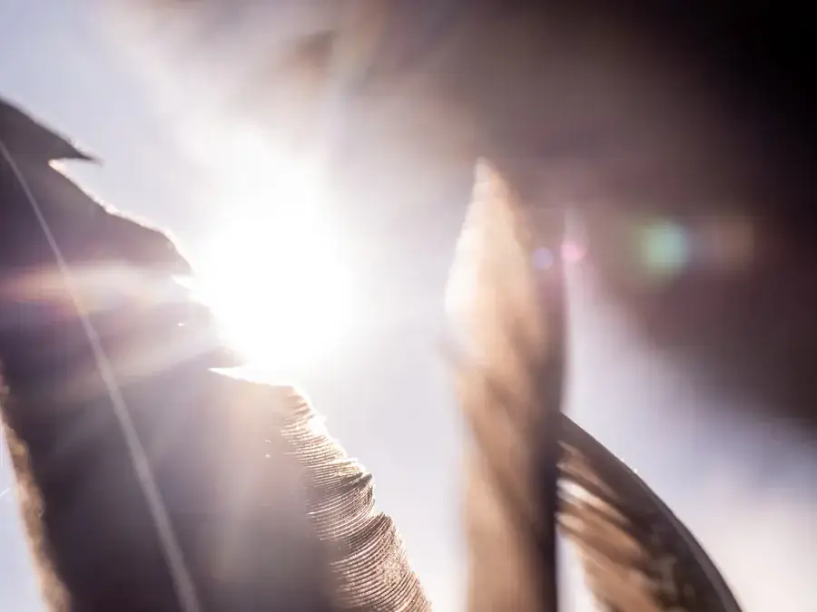 Voorbeeldfoto bij het thema licht en tegenlicht