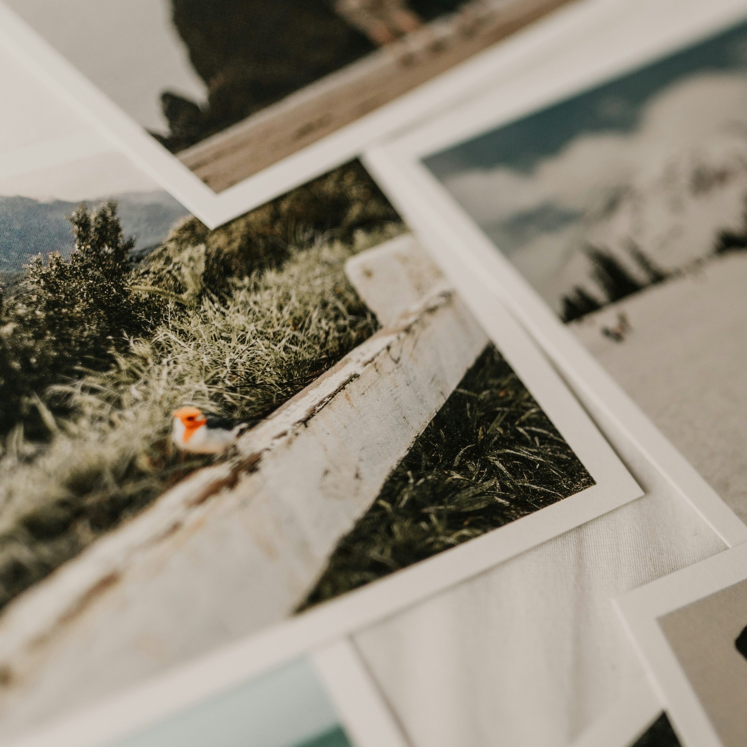 Snapshots of My Travels