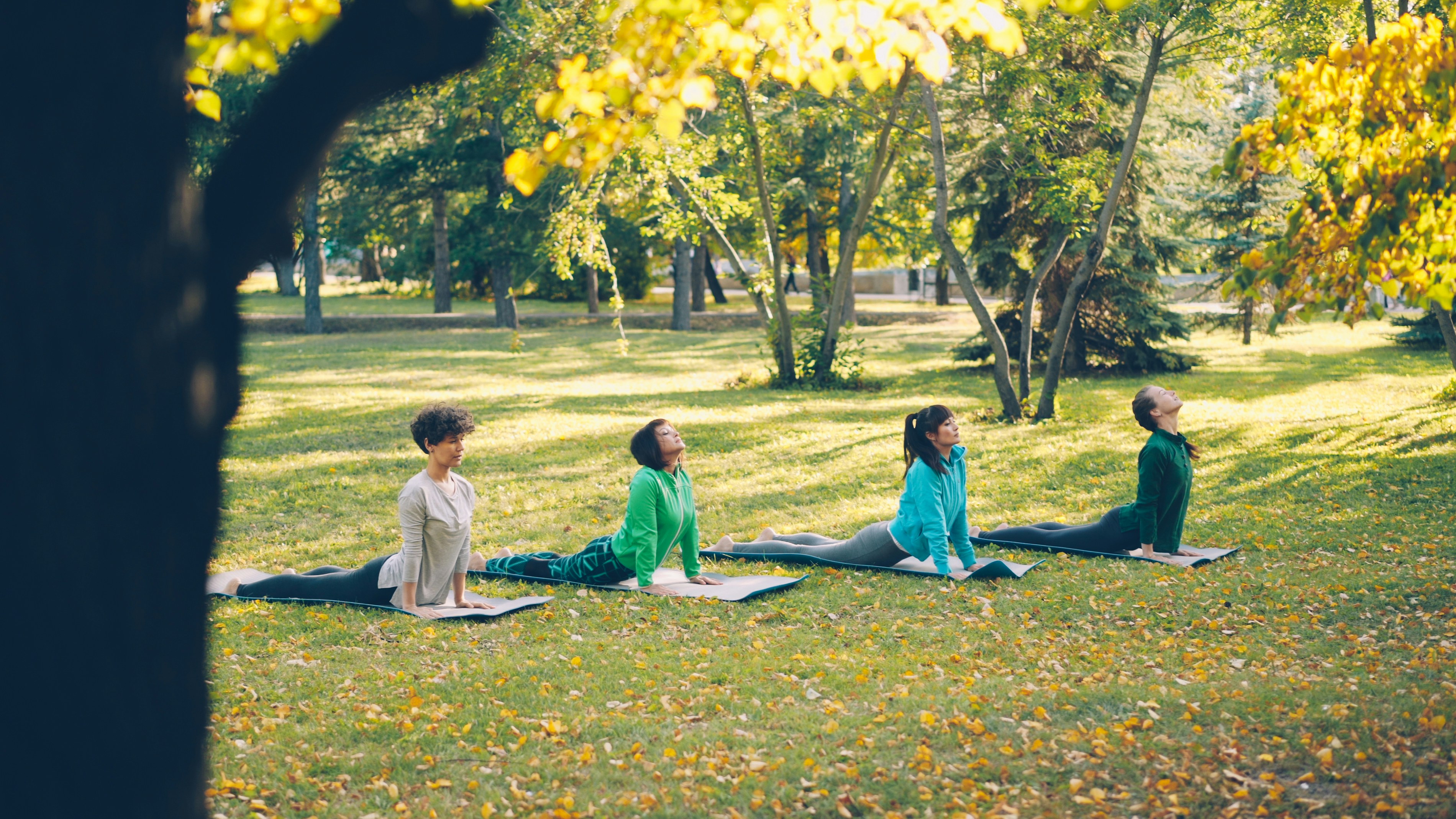 Active young people females are doing yoga practising sequence of asanas outdoors in park, women in group are wearing trendy sportswear and using mats. Hobby and sports concept.