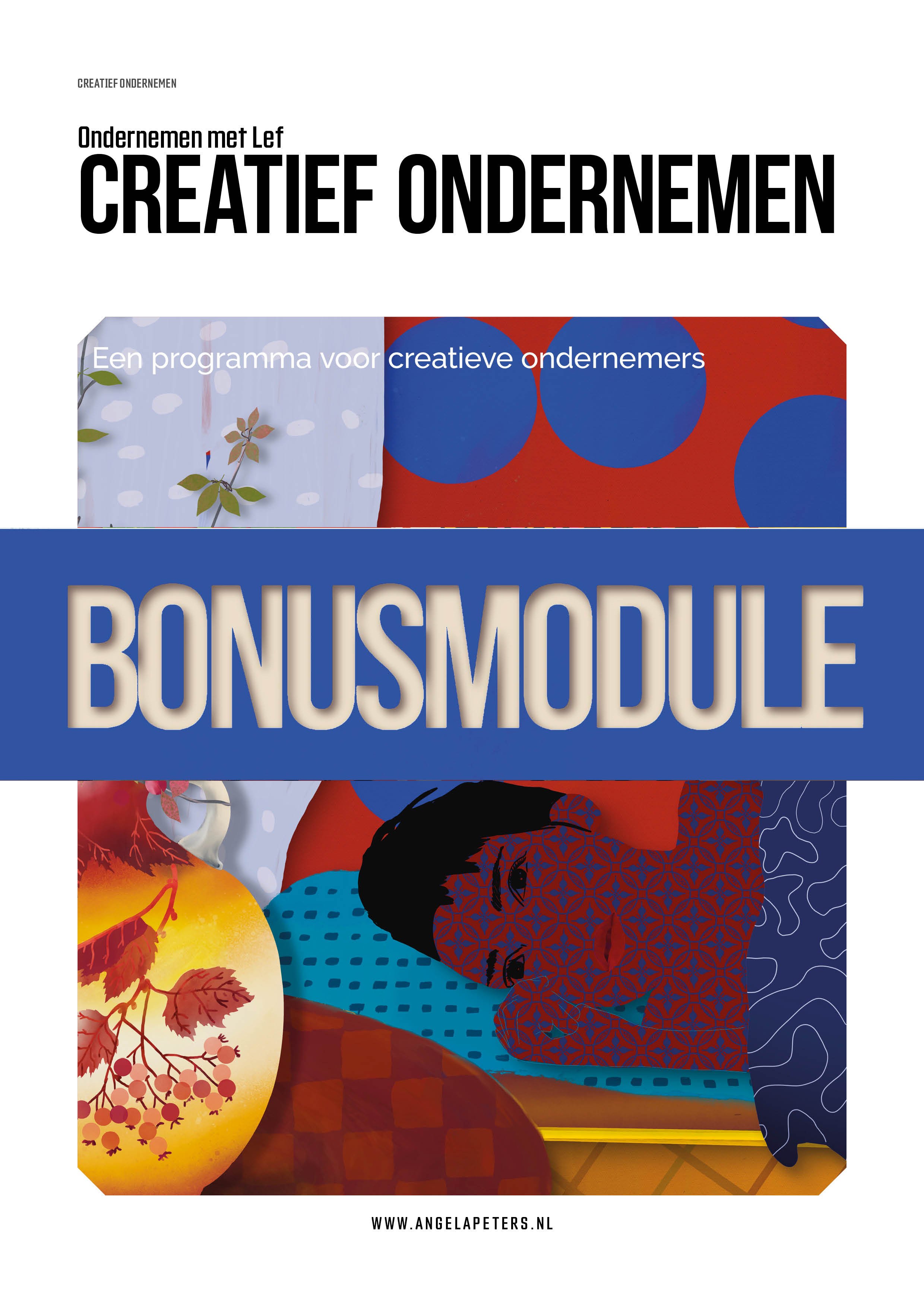creatief ondernemen met lef. een programma voor creatieve ondernemers