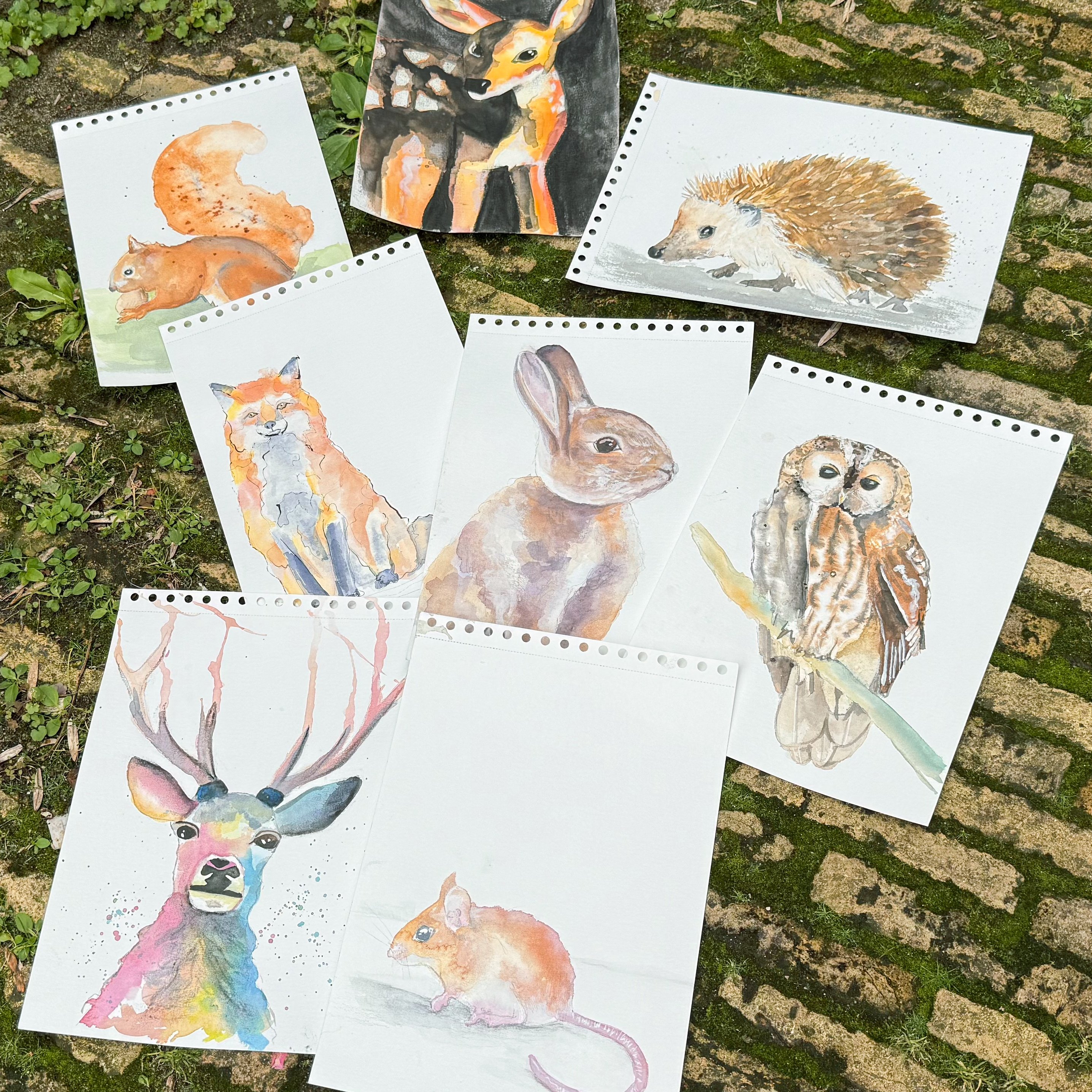Bosdieren in aquarelverf online cursus aquarelleren