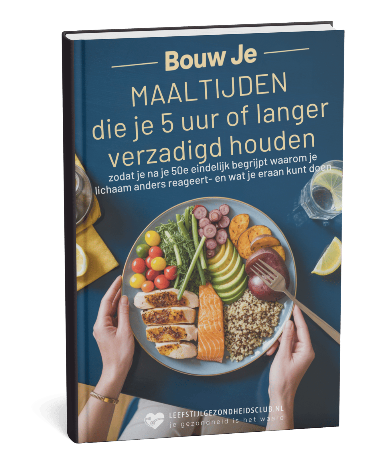Gecomprimeerde versie van de e-book cover voor snellere laadtijd op mobiel
