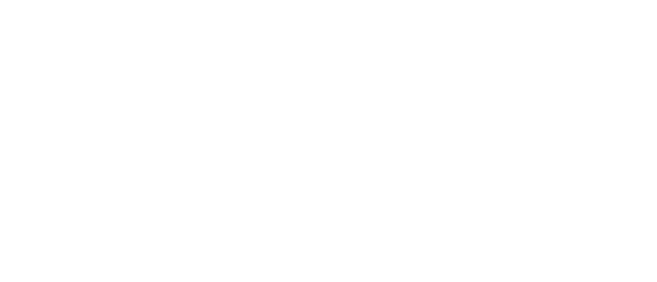 chantalle-kamycki-blitzz-media