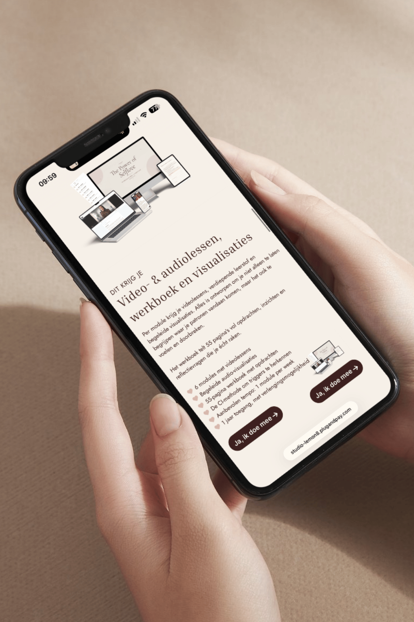 Mockup landingspagina plug&Pay