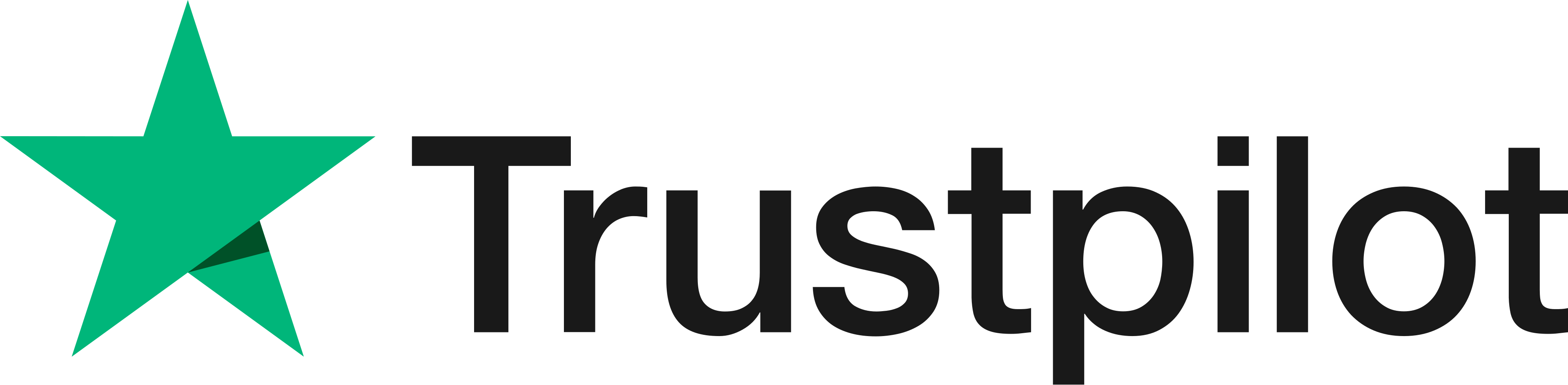 Logo Trustpilot - Virtual BIZZCOACH