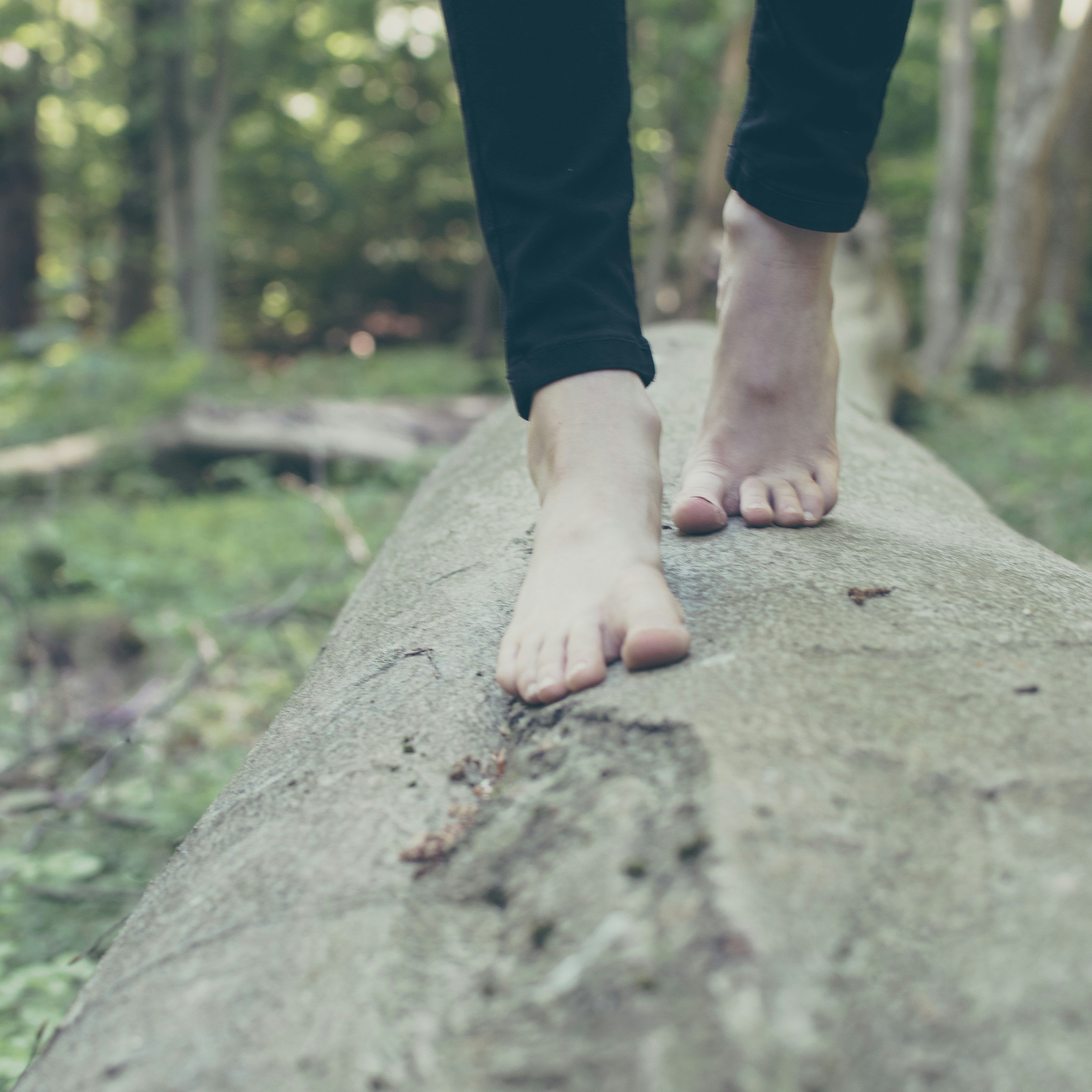a walk in Gdansk forests