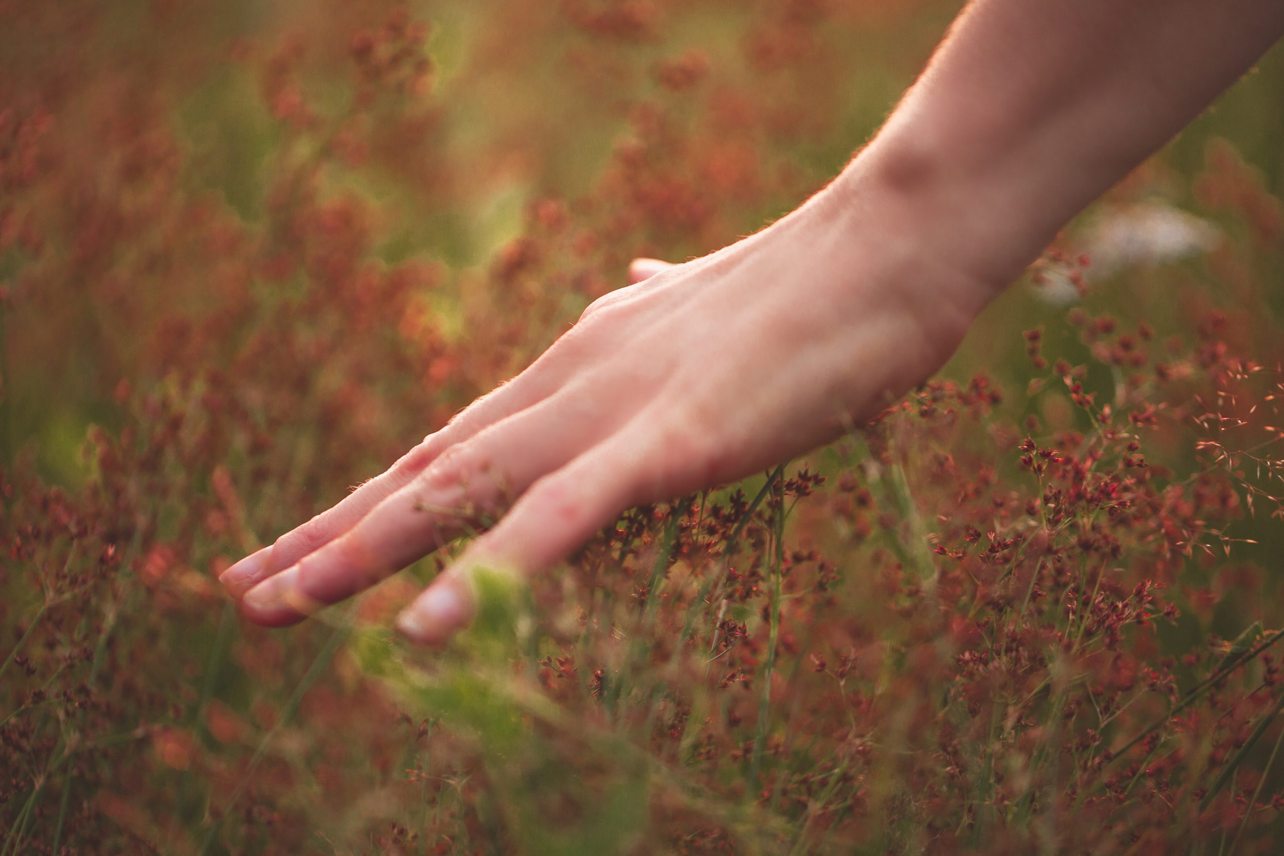 hand yvonne