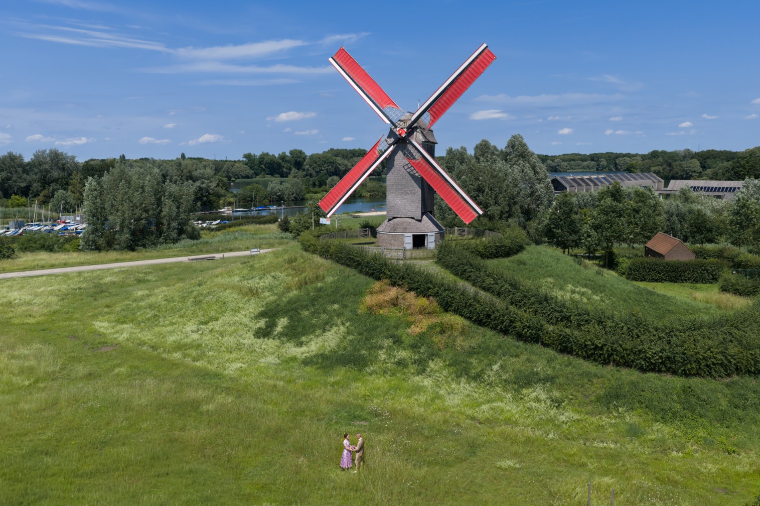 Example image