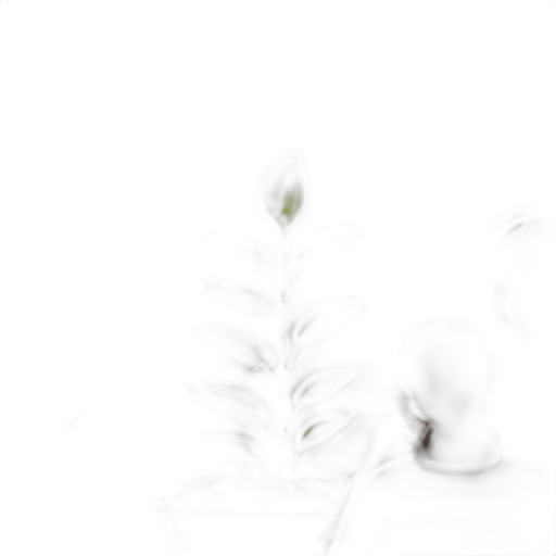 Een rustige plant in een donkere ruimte.