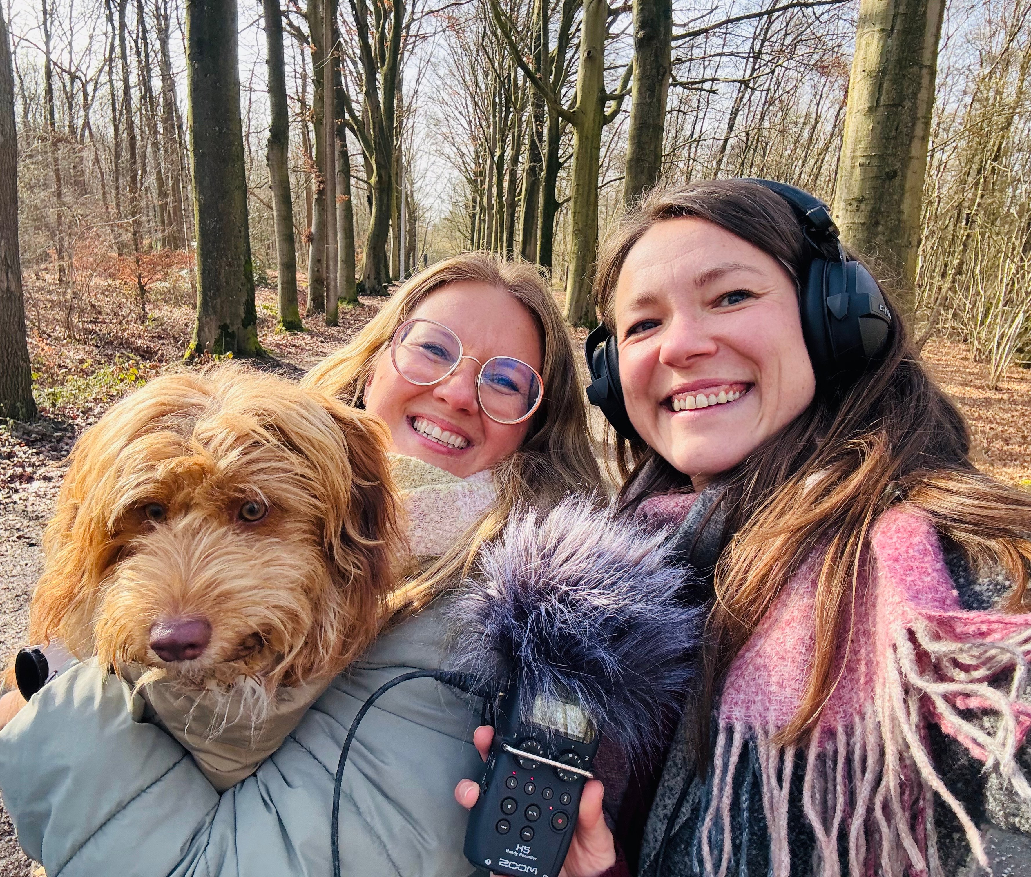 DE CIJFERCOACH, kimberley