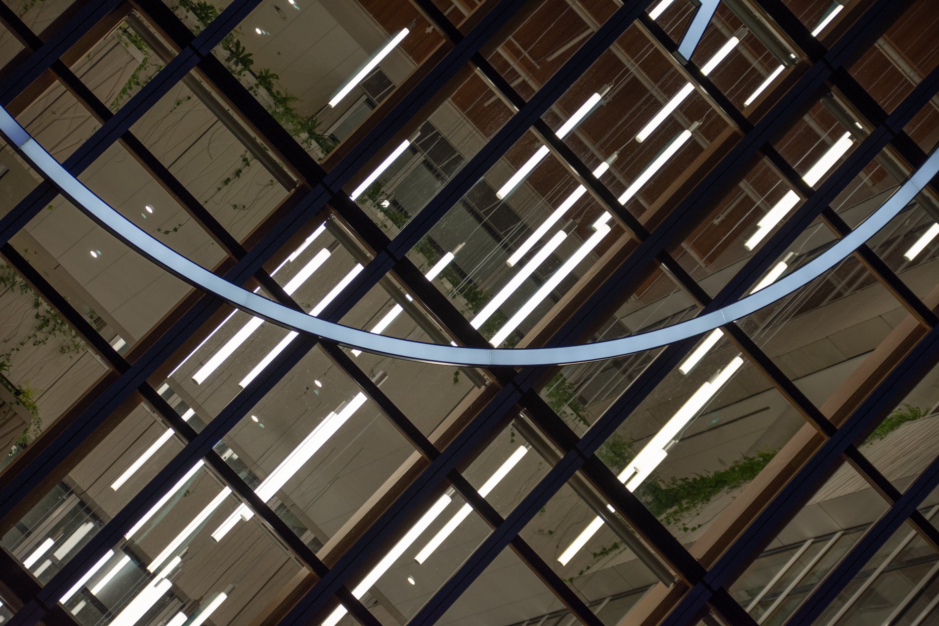 De Campus in Wageningen