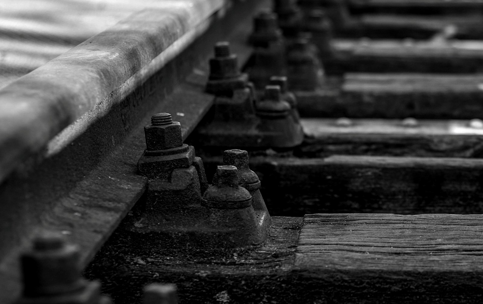 Moerputten bij Den Bosch