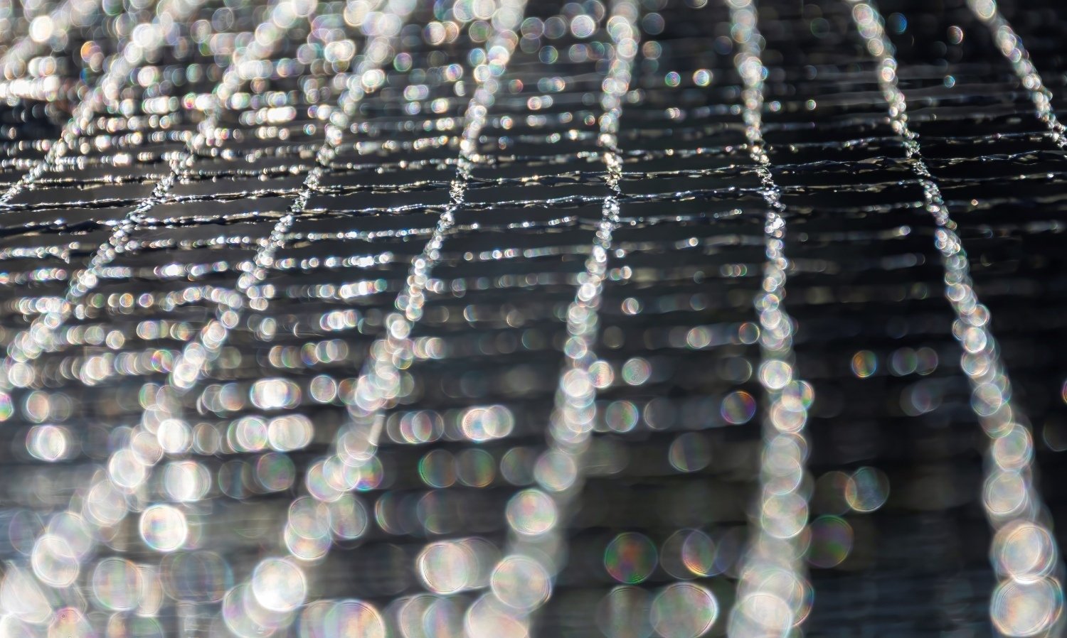 Regendruppeltjes op het vijvernet