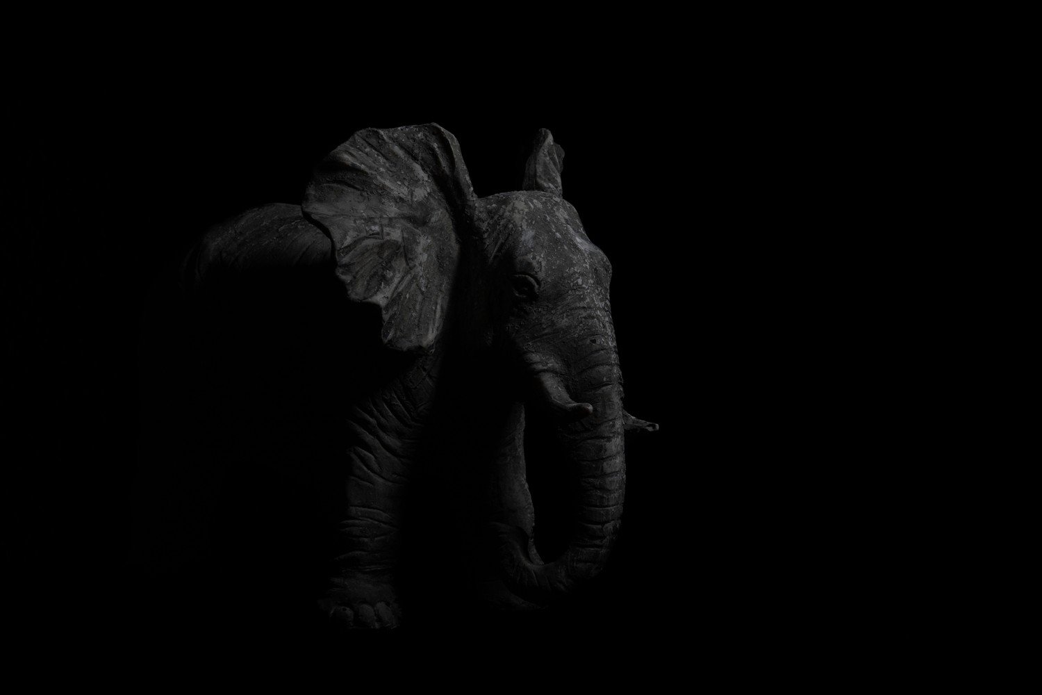 Low Key met een olifantje