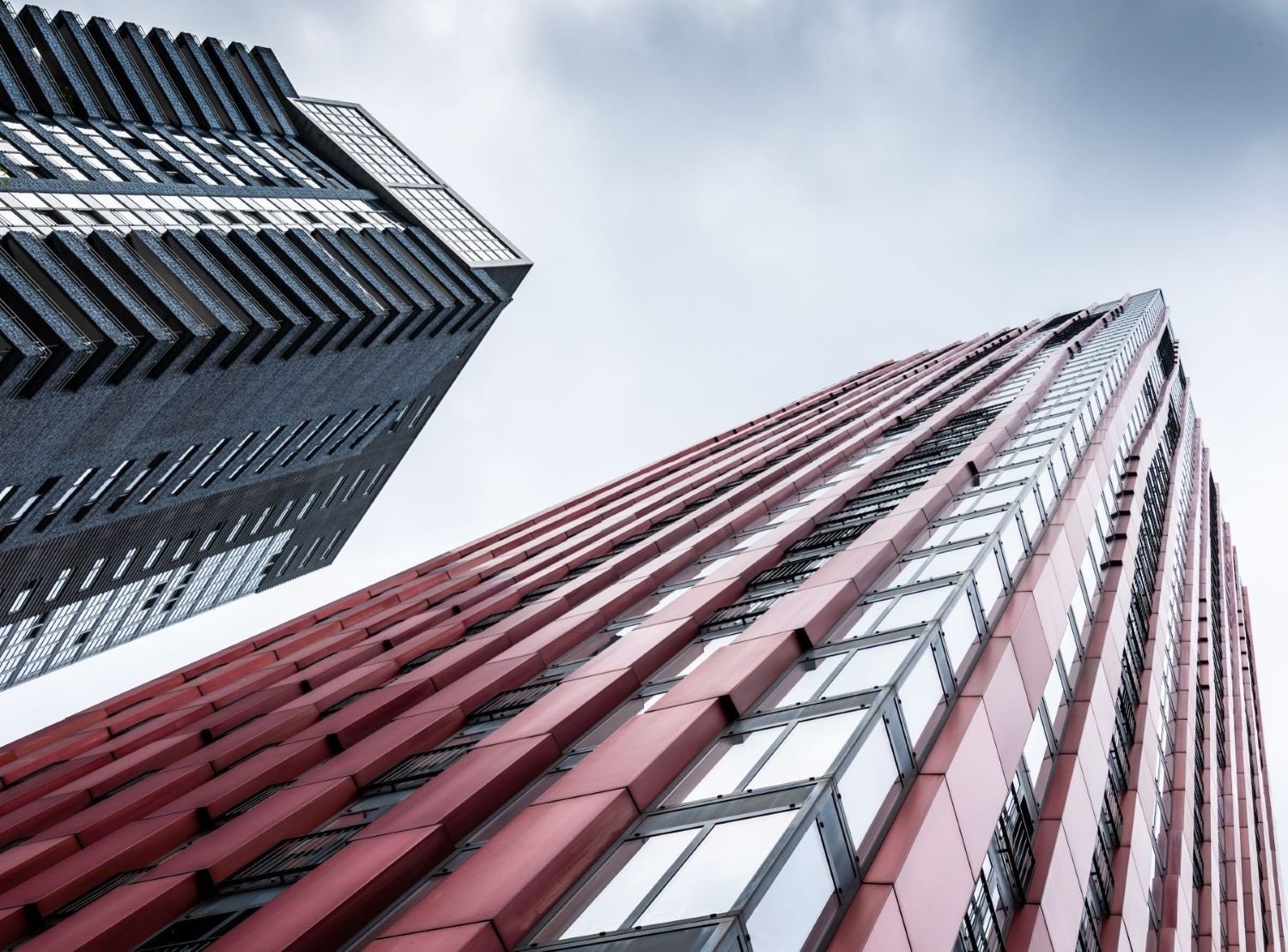 De Red Apple in Rotterdam