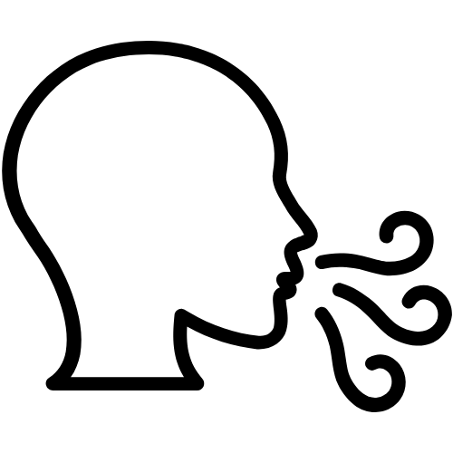 Example image