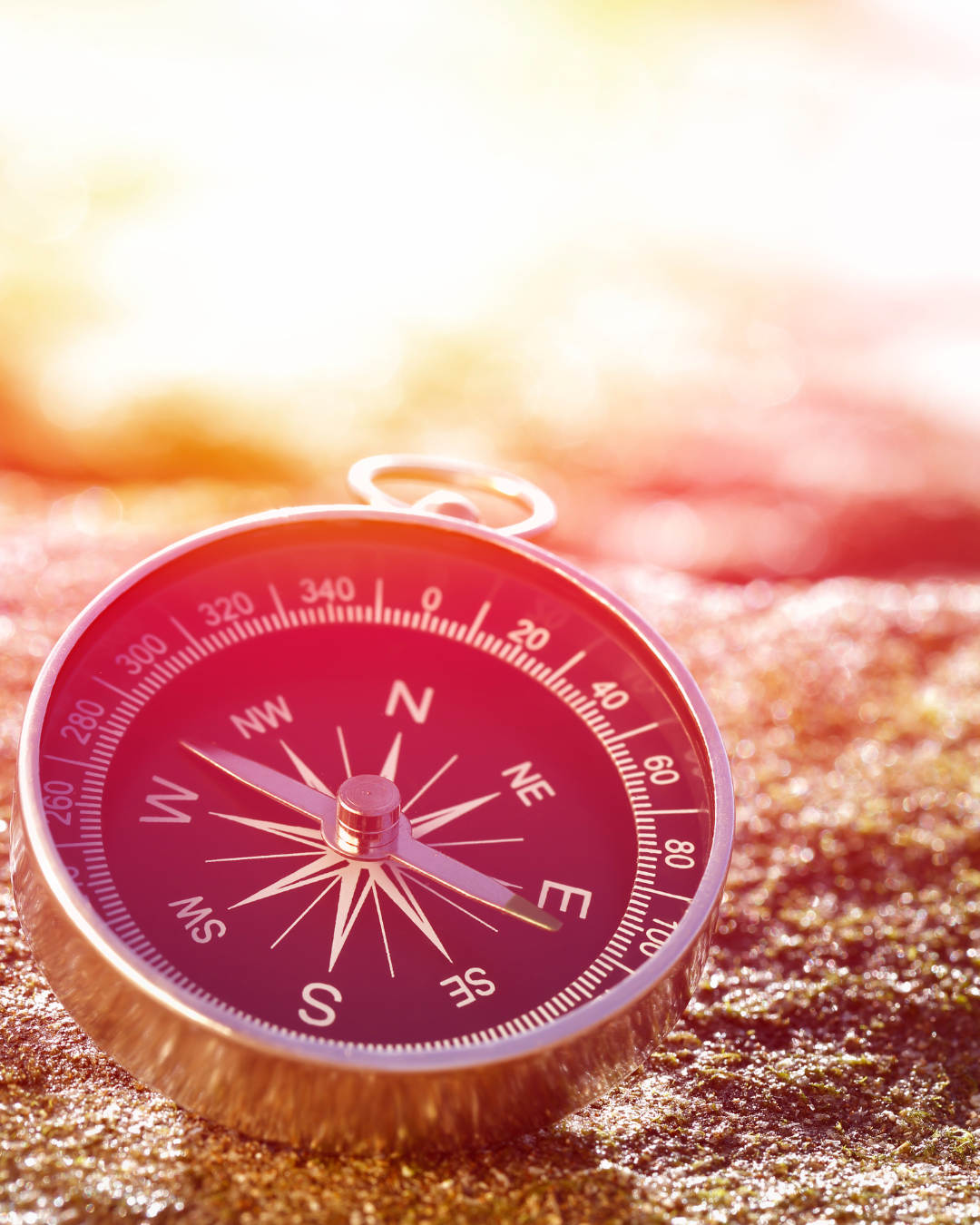 Quick scan Midlife Momentum