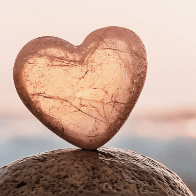 Midlife Momentum