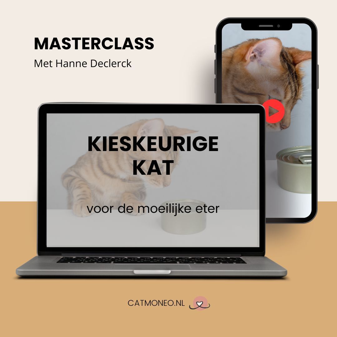 Masterclass Kieskeurige Katten - laat ook jouw kat nieuwe voeding eten!