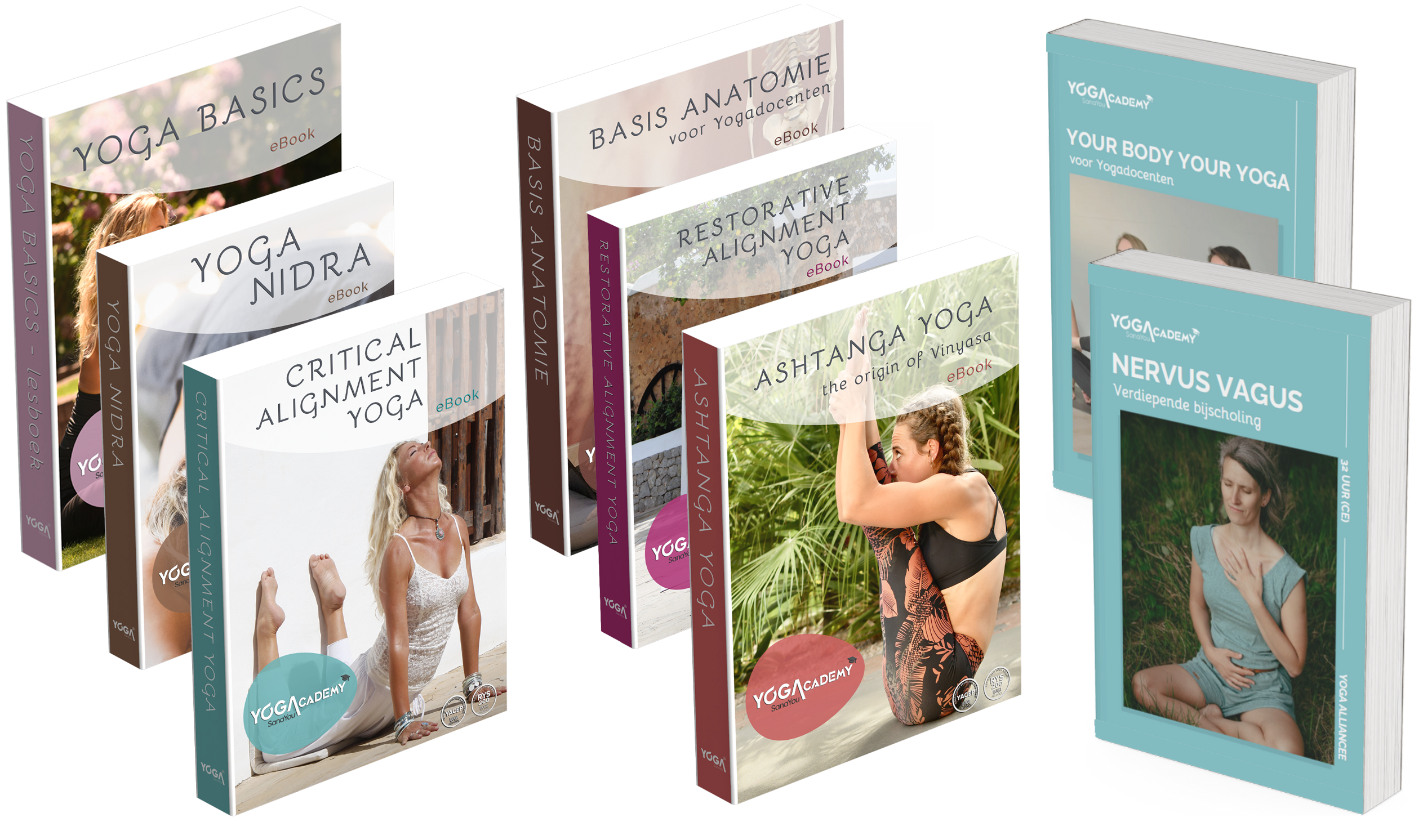 Ebook bundel RYT300 The Art of Advanced teaching