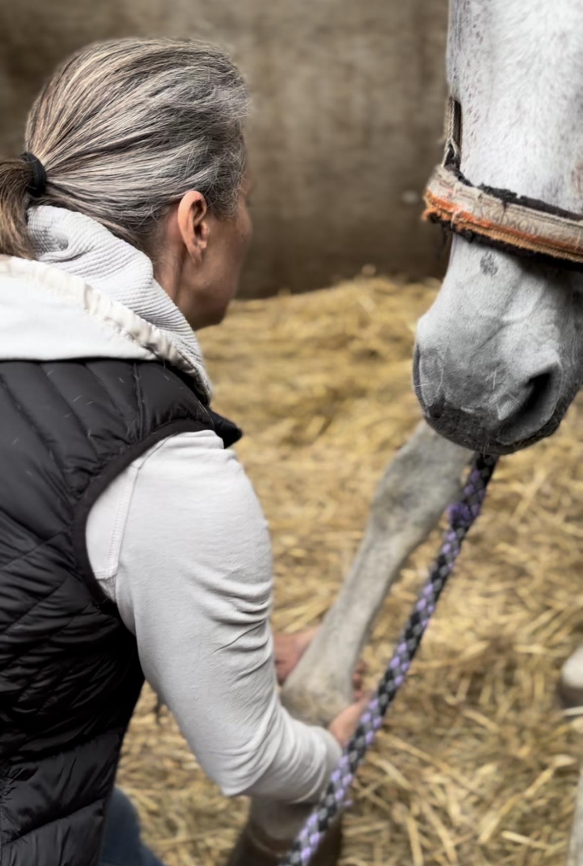 Paardeneigenares leert hoe ze blokkades in het voorbeen kan voelen en verlichten tijdens een les Equina START