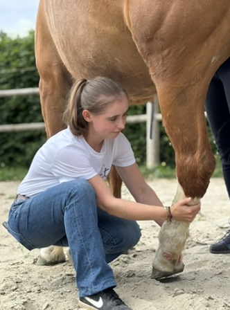 Paardenliefhebber onderzoekt de beweging van het onderbeen tijdens een praktijkles op de Equina START dag