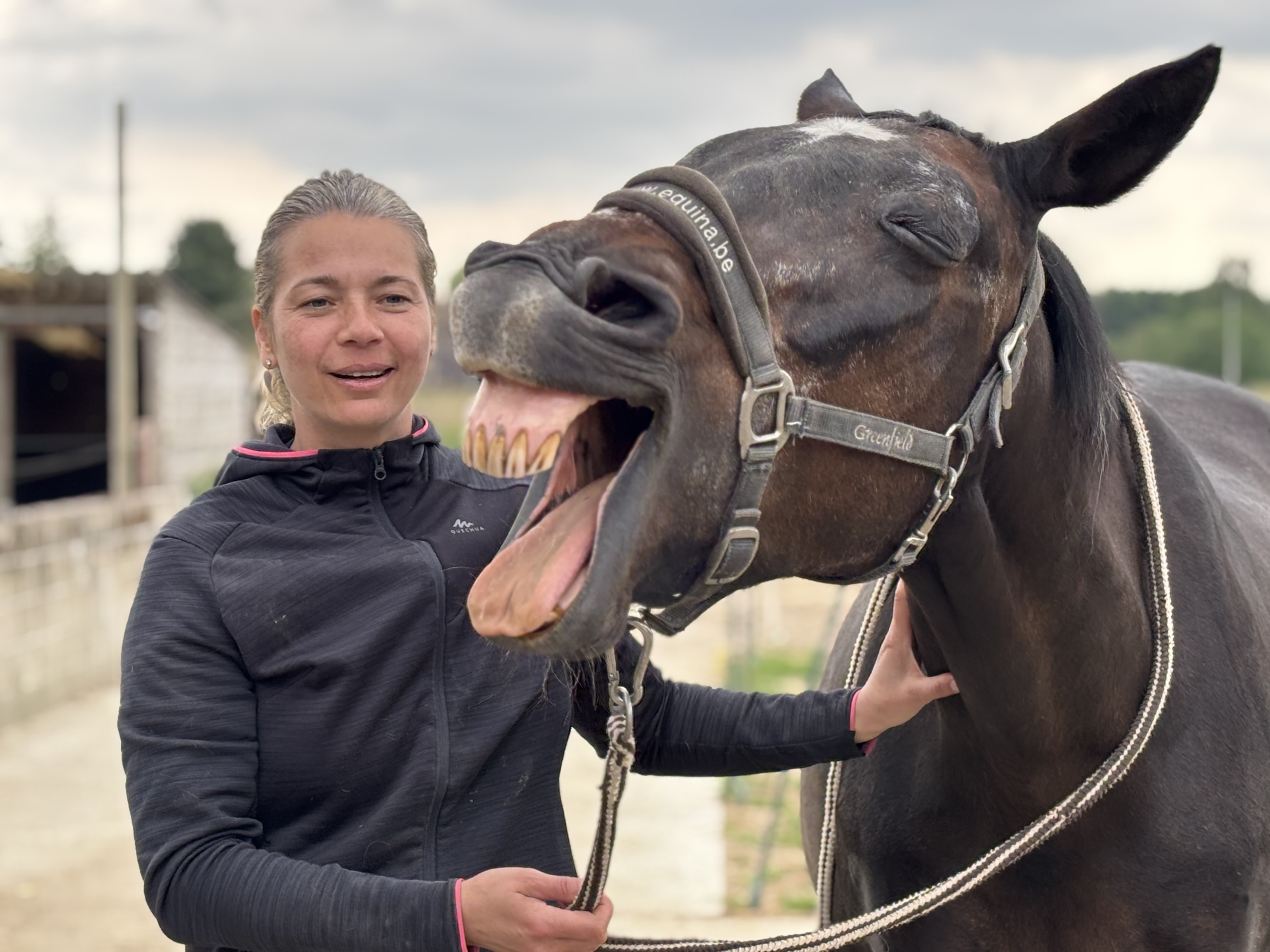 Paard dat zichtbaar ontspant en gaapt tijdens een shiatsubehandeling door cursist