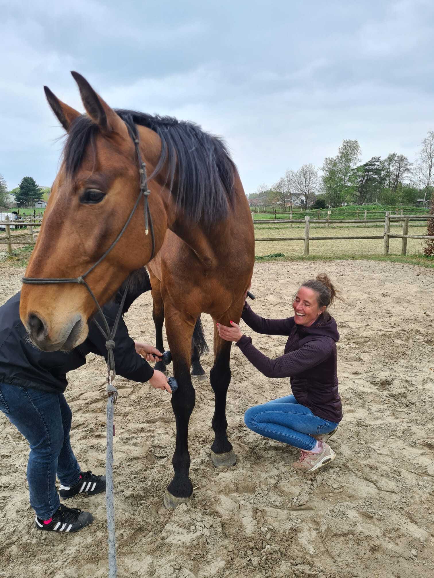 Twee deelnemers werken samen tijdens een voorbeen stretch van het paard in een oefensessie