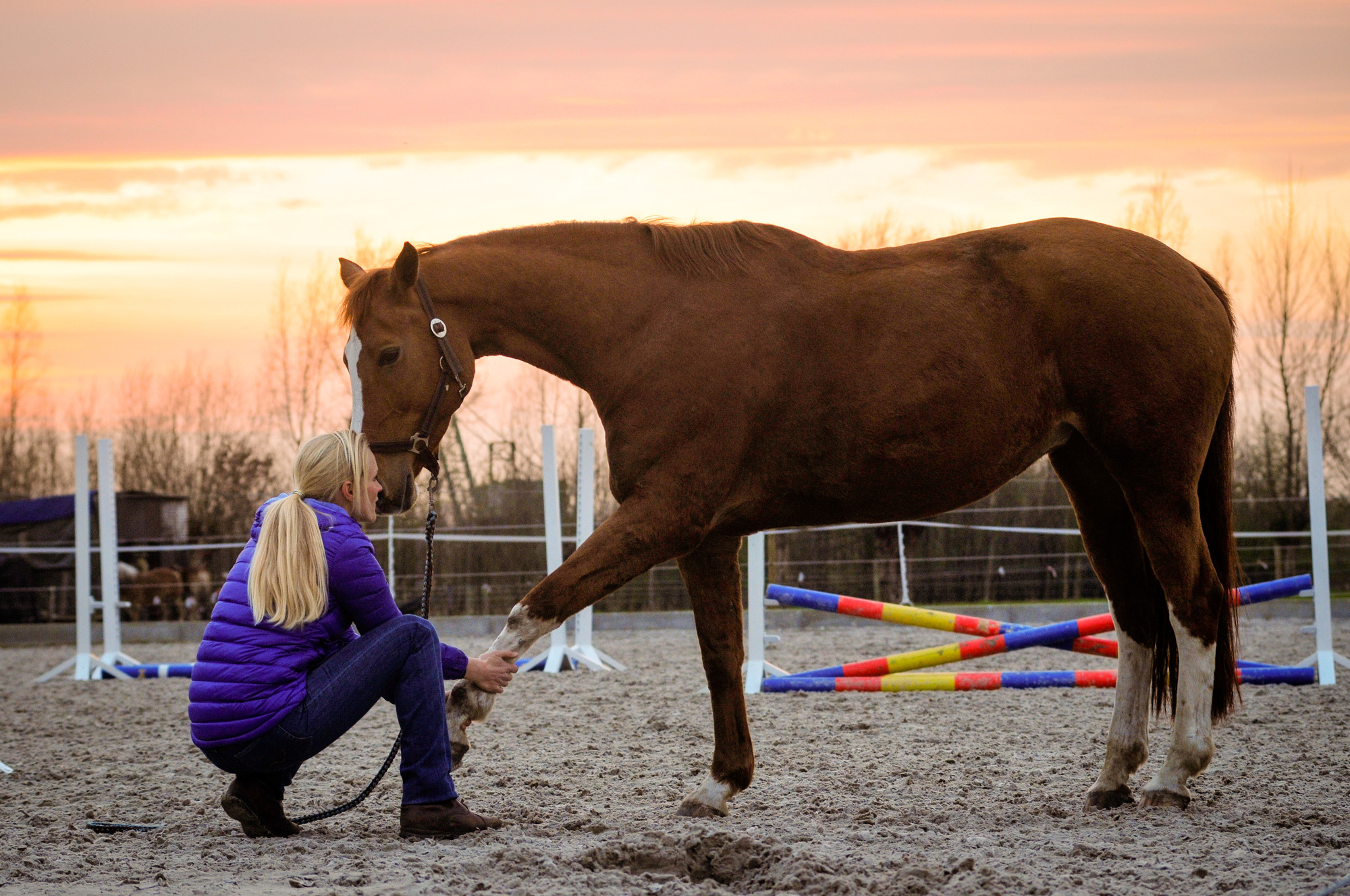 Evy met Babouche, voorbeenstretch, foto Mandy Lome. Voor de Acupressuurcoach-app.