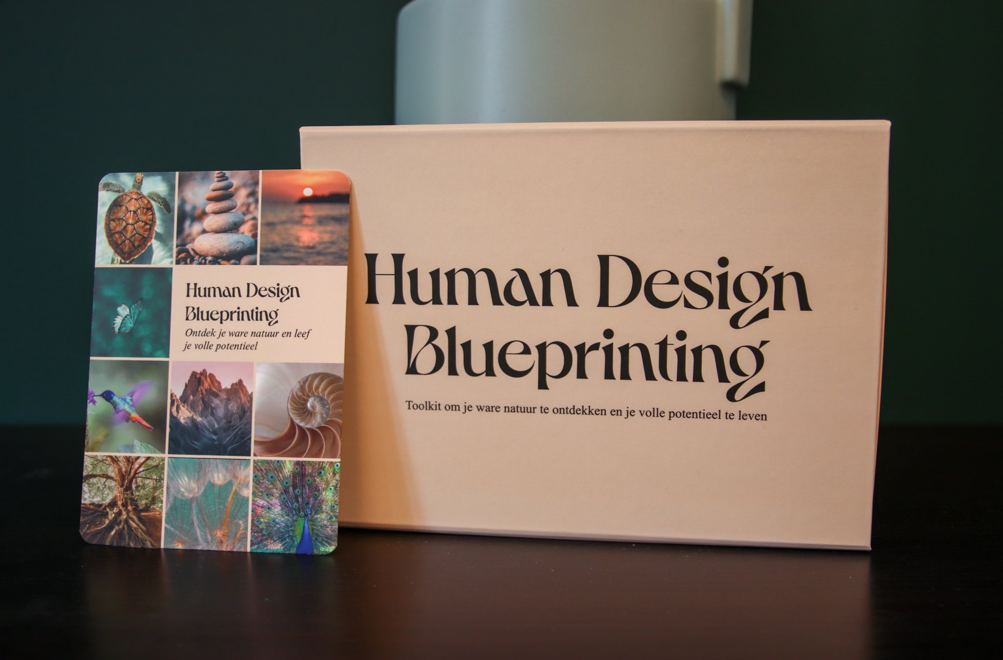 Human Design Blueprinting Bewaardoos