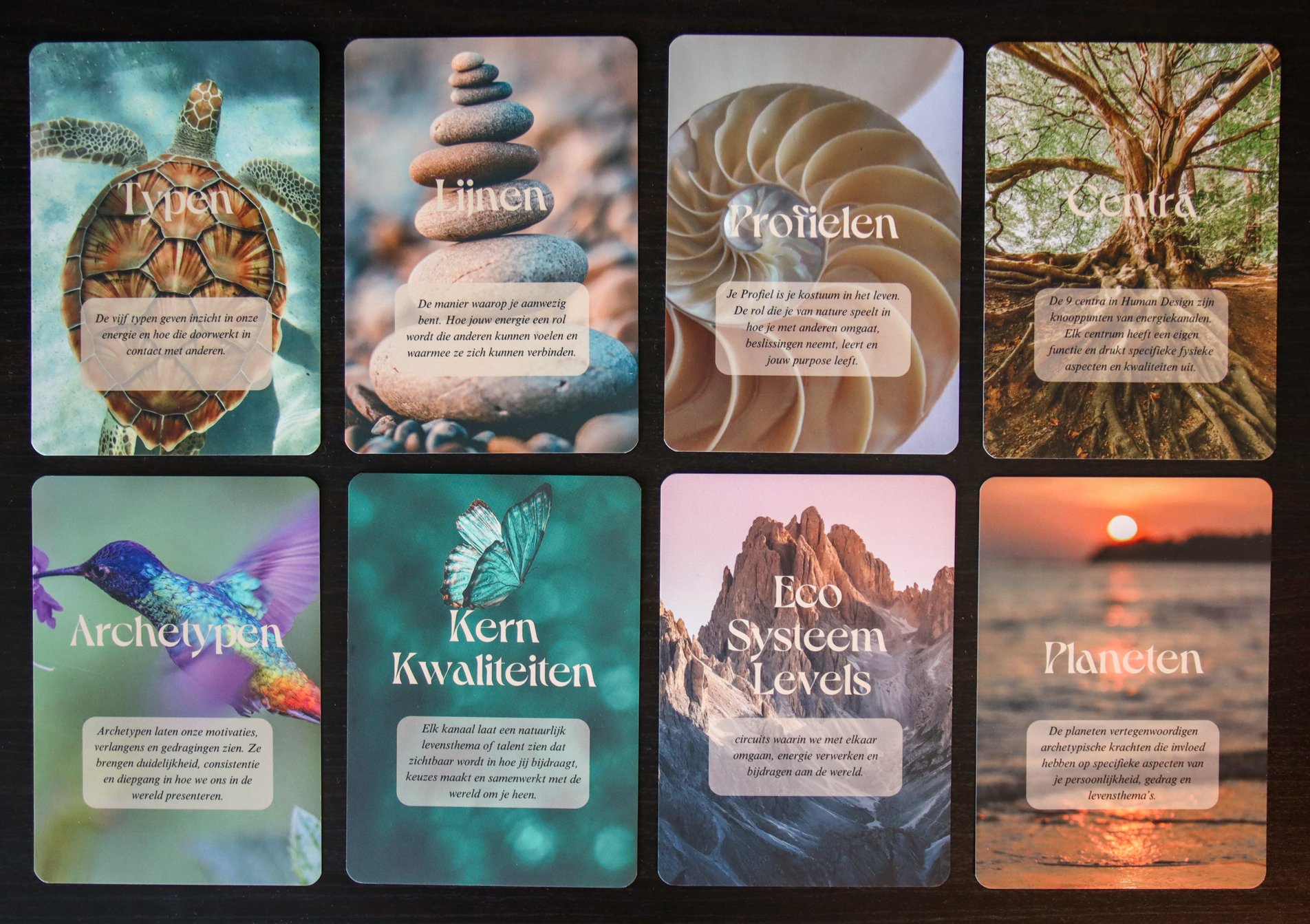 Onderdelen Human Design Blueprinting toolkit